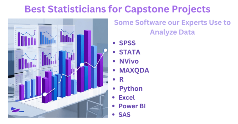 Best Statisticians for Capstone Projects